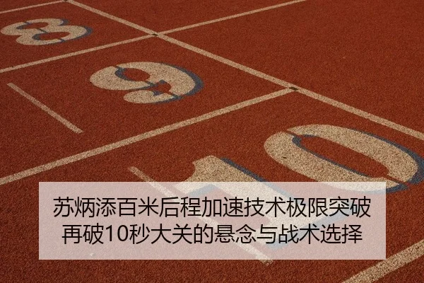su-bing-tian-bai-mi-hou-cheng-jia-su-ji-shu-ji-xian-tu-po-zai-po-miao-da-guan-de-xuan-nian-yu-zhan-shu-xuan-ze-2-337.jpg